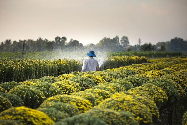 Lire la suite à propos de l’article Un arrosage efficace et econome : adopter une approche responsable pour la gestion de l’eau